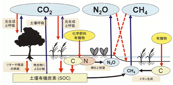 農業生態系における炭素と窒素の循環 農環研シリーズ : 農業環境