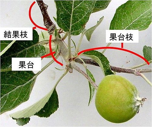 地球温暖化と気候変動の対策情報サイト/農業温暖化ネット