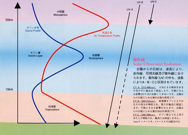 身受け
