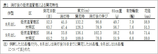 消灯後の低夜温管理による開花特性